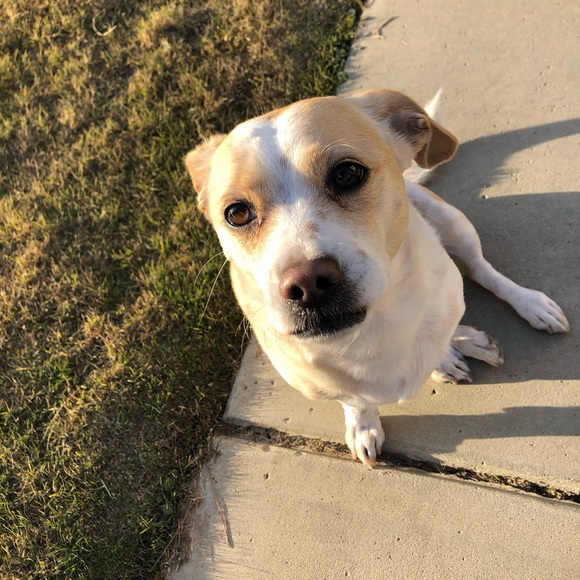 Meet your Posher, Liliana - Picture 7 of 10